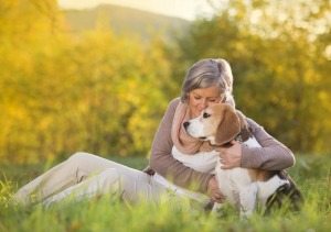 Home Care Gig Harbor WA - 5 Ways to Prevent Ticks on Your Elderly Loved One’s Dog 